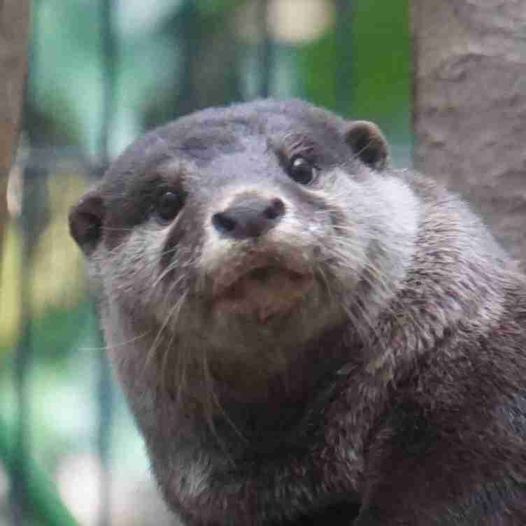 3月で仕事辞める人集まれ～