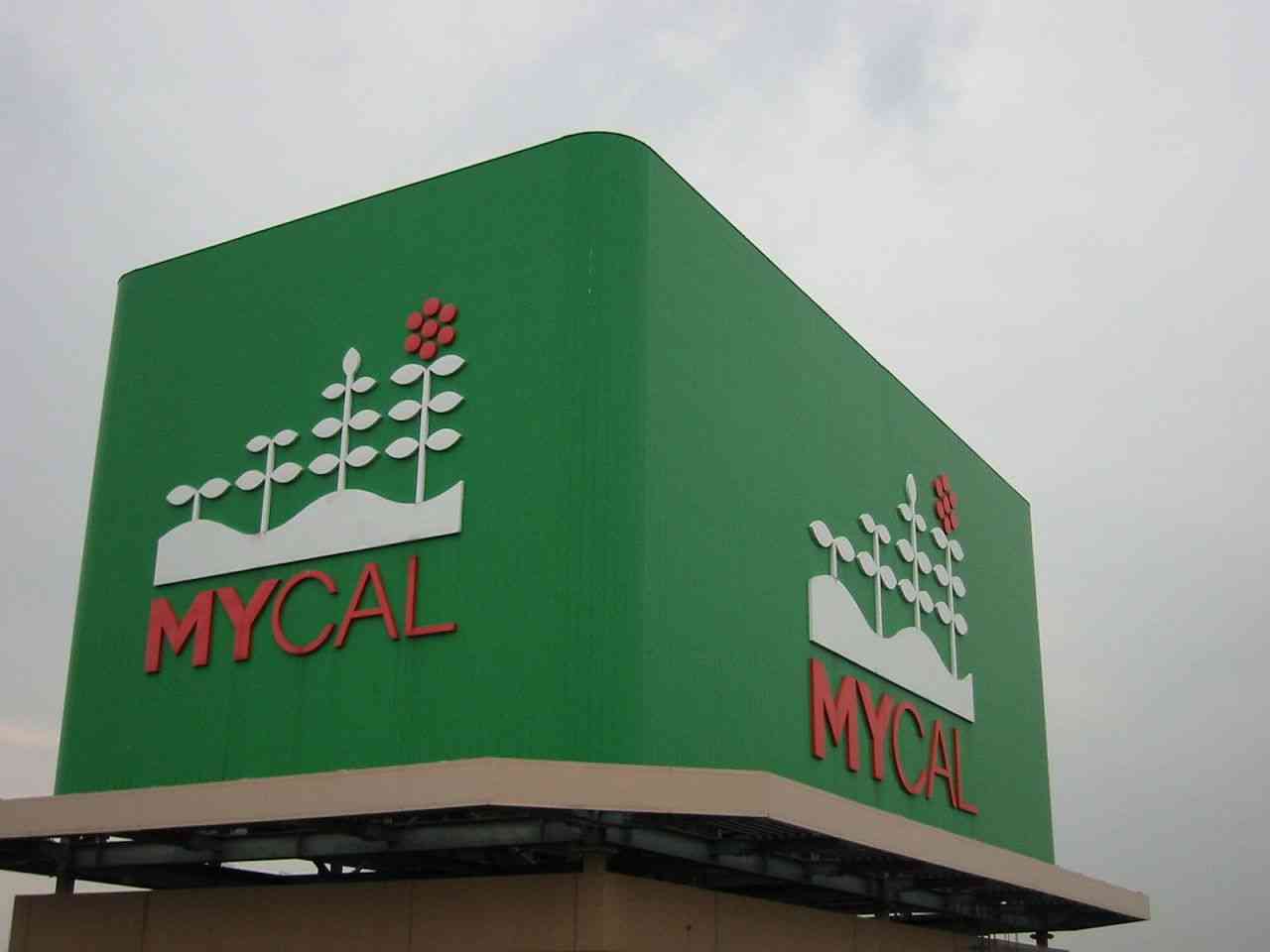 皆さんの始めてのマイカーは何ですか？