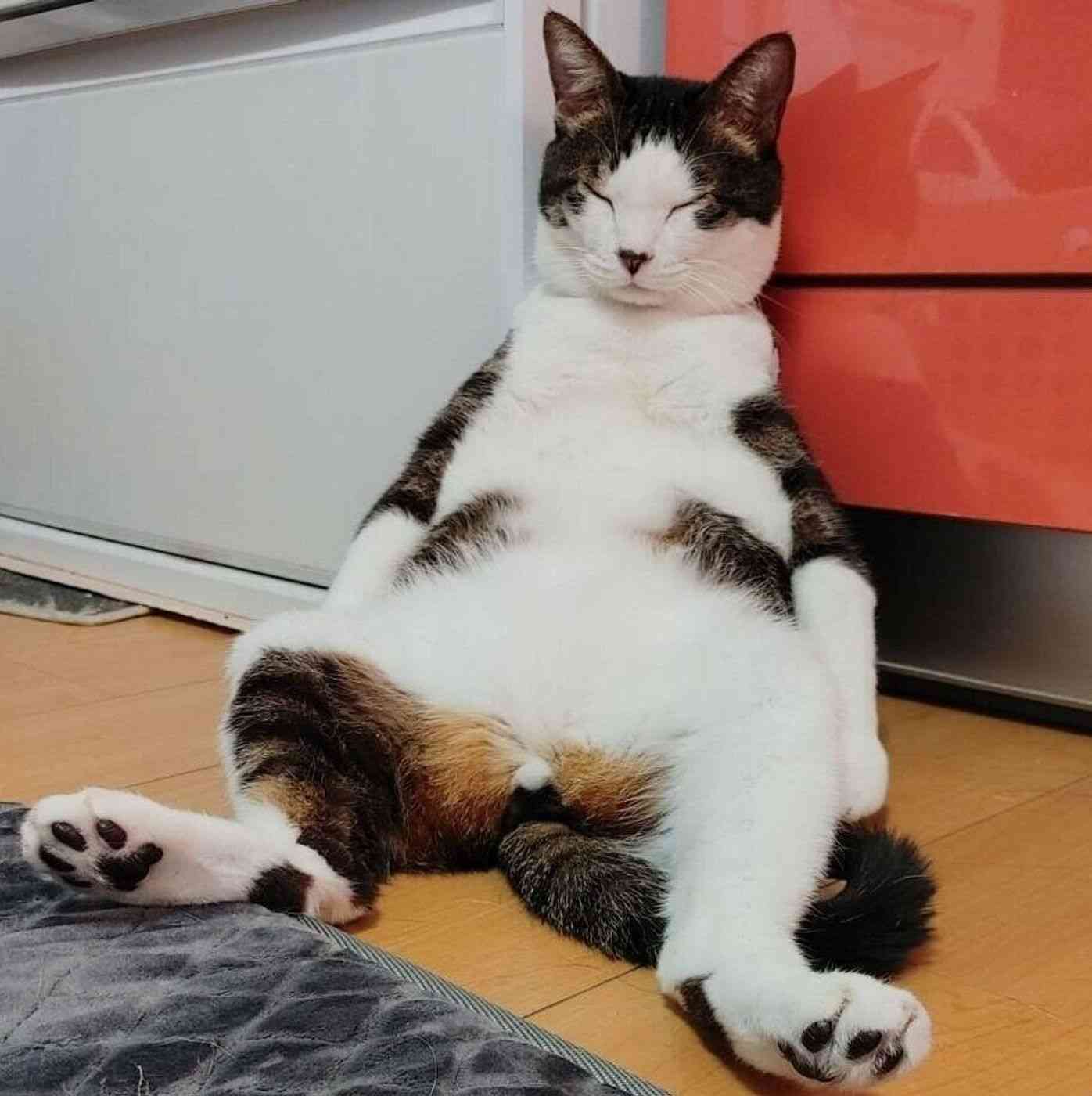 久々に働いた感想