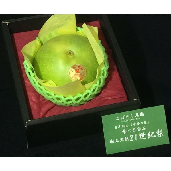 【選抜】高校野球の21世紀枠って必要だと思う?