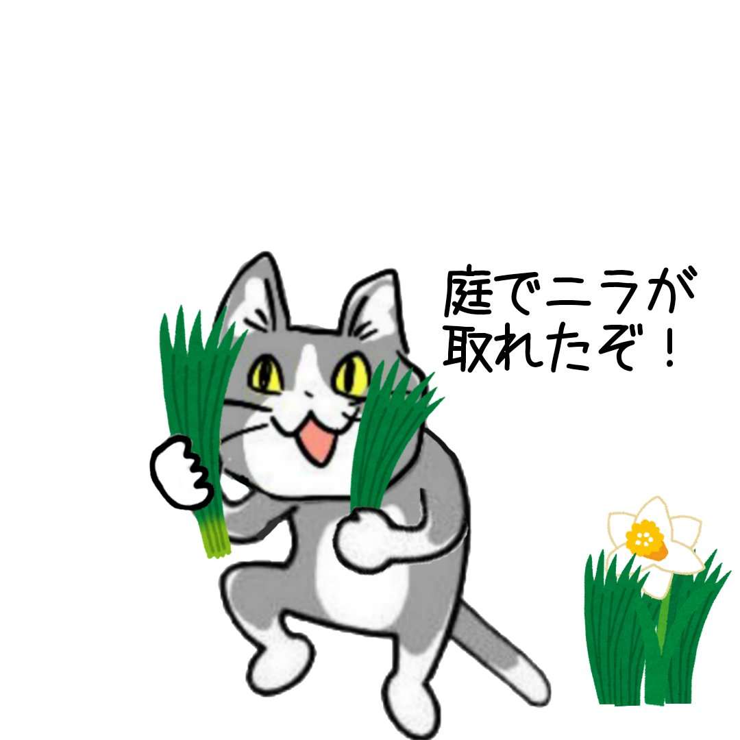 ベジファーストしてる人