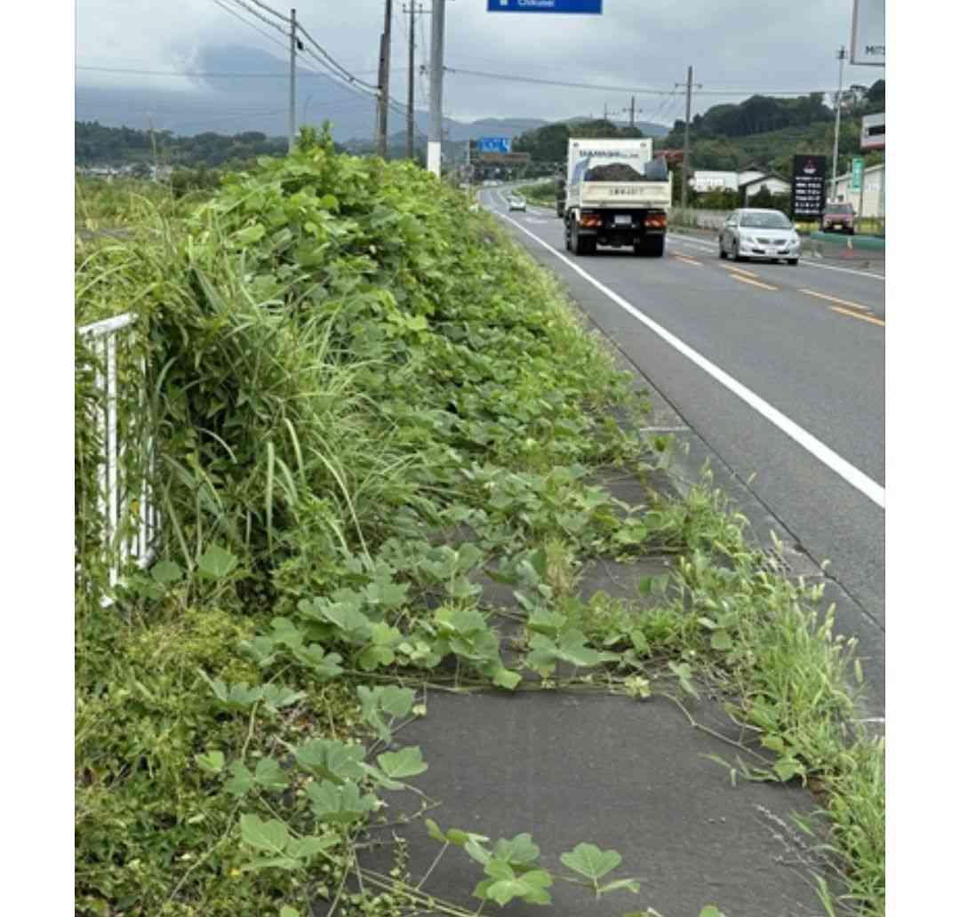 田舎の人と都会の人で全く感覚が違いそうなこと