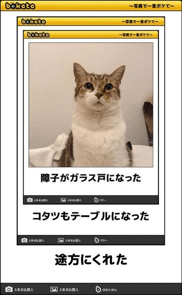 こたつもう片付けた?