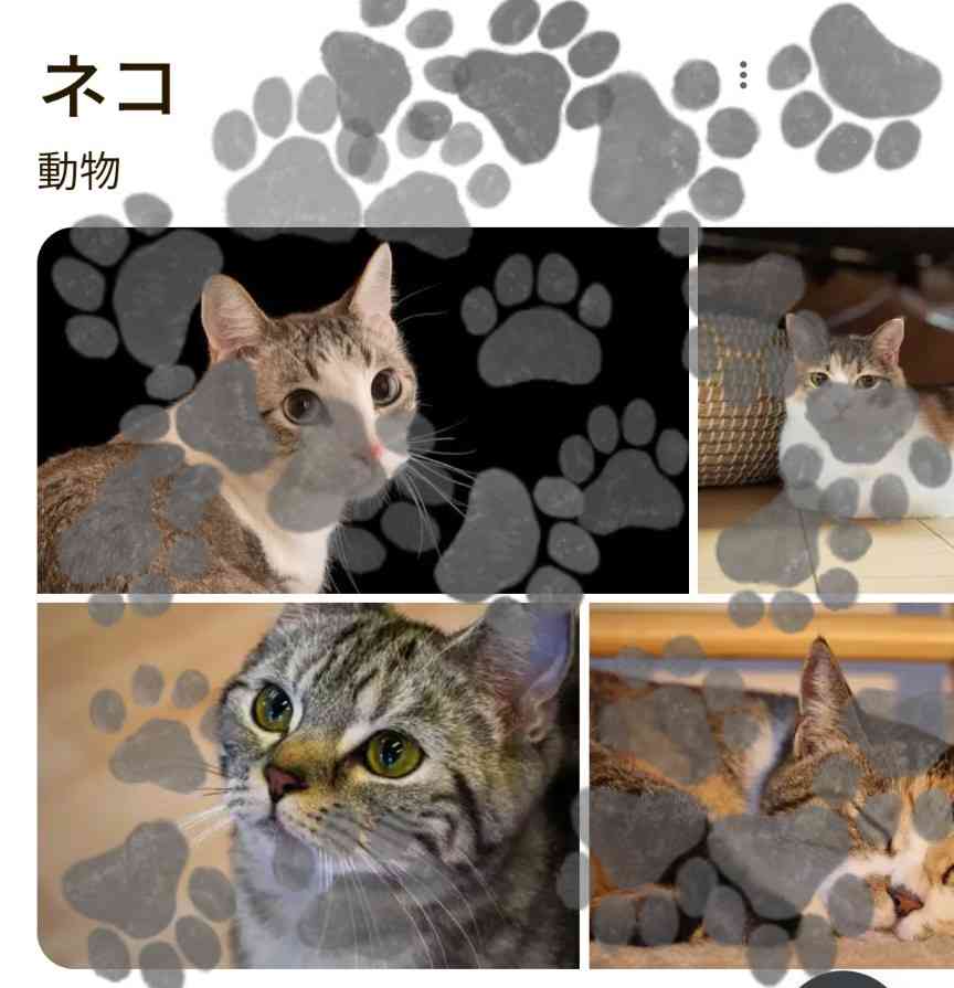 あの国民的論争に終止符!?グーグルの画期的仕掛けに…ネット驚きと歓迎「Googleさんありがとう」「何回もやってしまった」