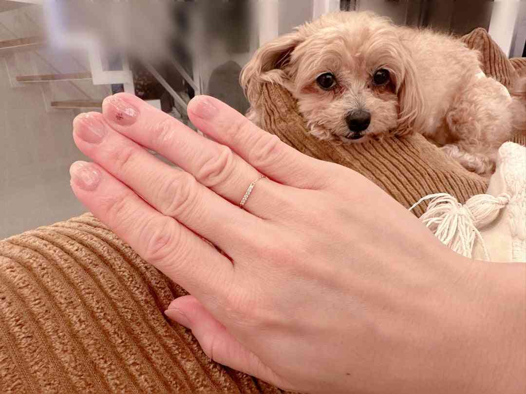 「家事してる手」とは？？