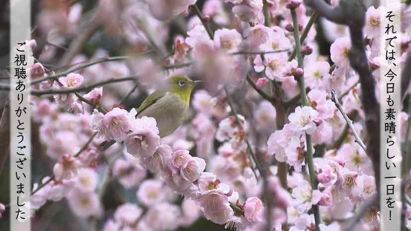 フジ「ボクらの時代」最終回で19年の歴史に幕　ナレーションの小林聡美がゲストとして初出演