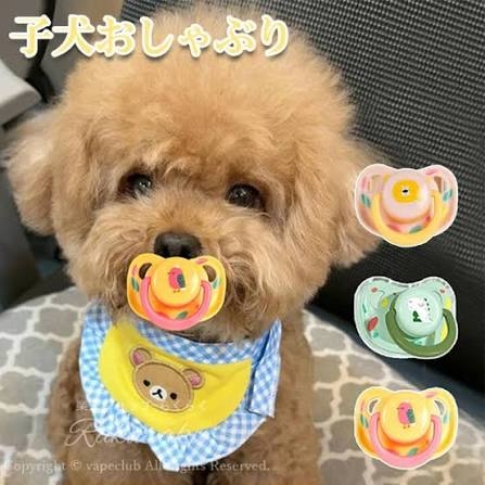 「犬or猫どちらが好き?」現役高校生は犬好きが6割 かわいいポイントは見た目だけなく“内面