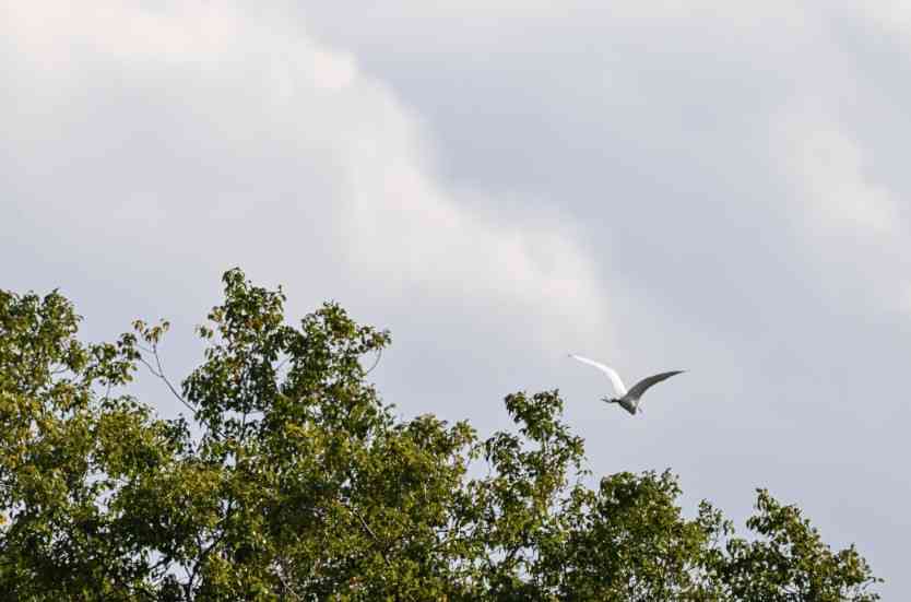 親の死の乗り越え方