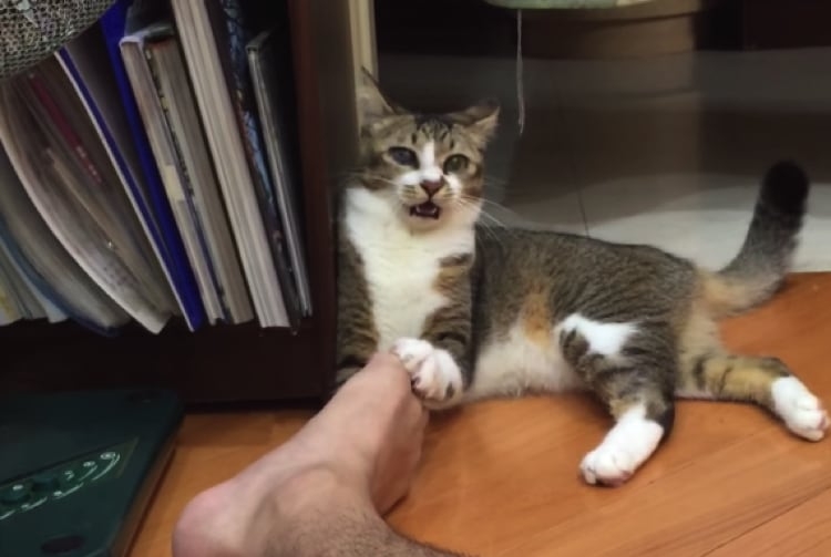 夫の足が臭い