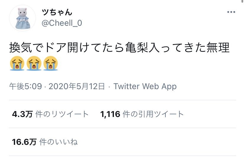 カメムシとの正しい付き合い方