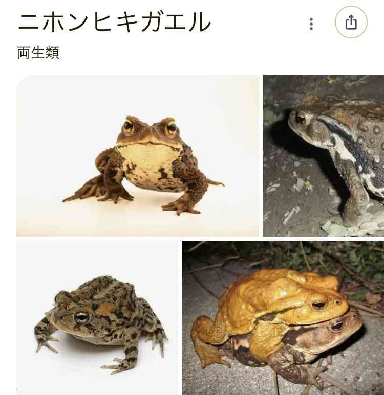 【村上龍の格言】「美人は三日で飽きる」というのはブスの自殺を救うための嘘/女が知性を欲するのは一種の堕落だと思う←現代では考えられない言葉の数々