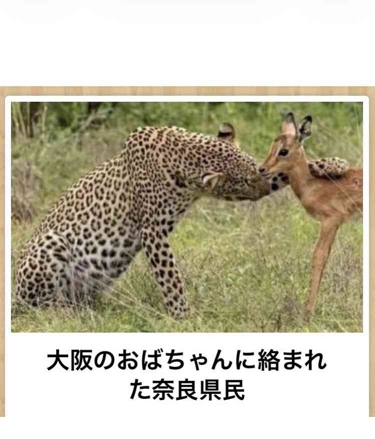 あまり貼られないけど好きな「bokete」の画像貼っていくトピPart21