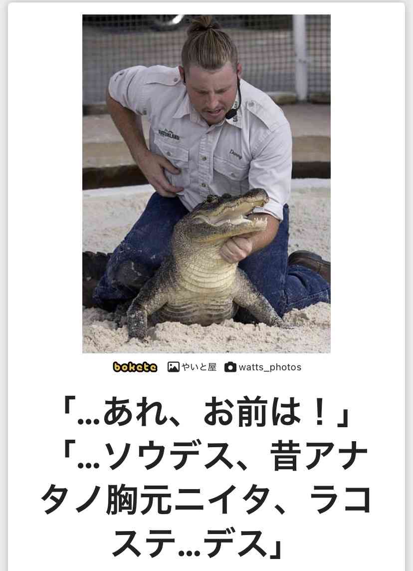 あまり貼られないけど好きな「bokete」の画像貼っていくトピPart21