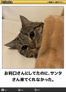 あまり貼られないけど好きな「bokete」の画像貼っていくトピPart21