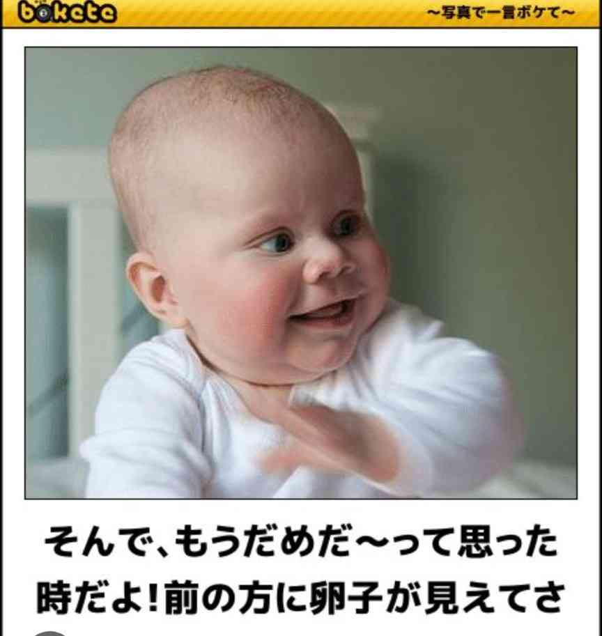 あまり貼られないけど好きな「bokete」の画像貼っていくトピPart21