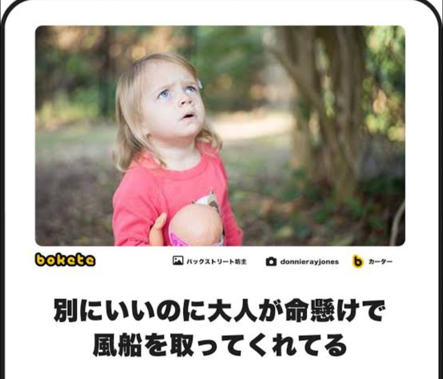 あまり貼られないけど好きな「bokete」の画像貼っていくトピPart21