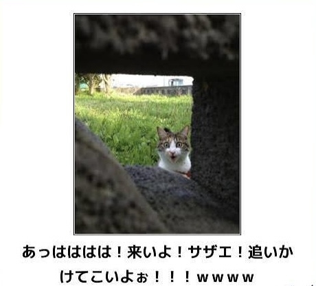 あまり貼られないけど好きな「bokete」の画像貼っていくトピPart21