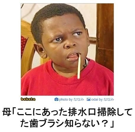 あまり貼られないけど好きな「bokete」の画像貼っていくトピPart21