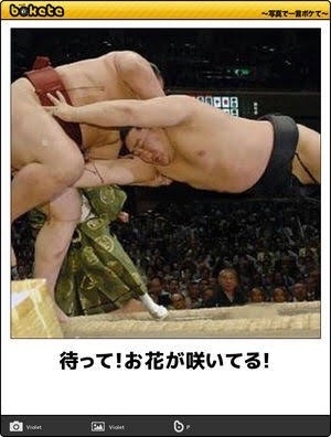 あまり貼られないけど好きな「bokete」の画像貼っていくトピPart21