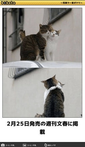 あまり貼られないけど好きな「bokete」の画像貼っていくトピPart21