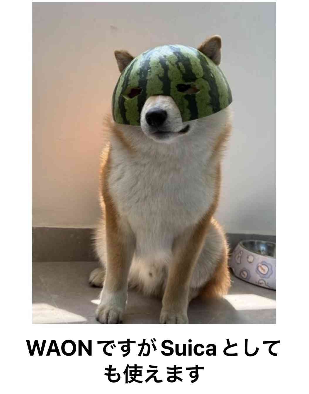 あまり貼られないけど好きな「bokete」の画像貼っていくトピPart21