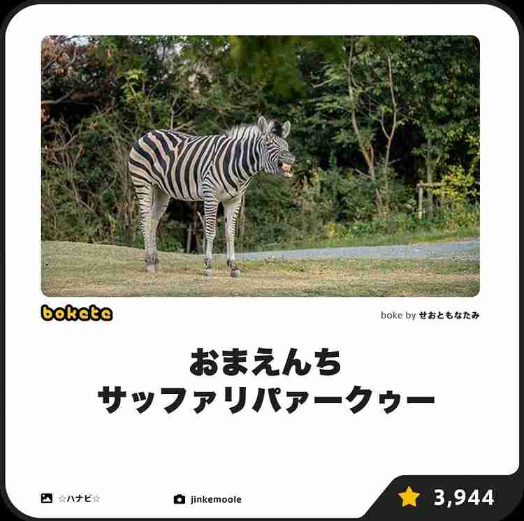 あまり貼られないけど好きな「bokete」の画像貼っていくトピPart21