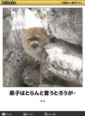 あまり貼られないけど好きな「bokete」の画像貼っていくトピPart21