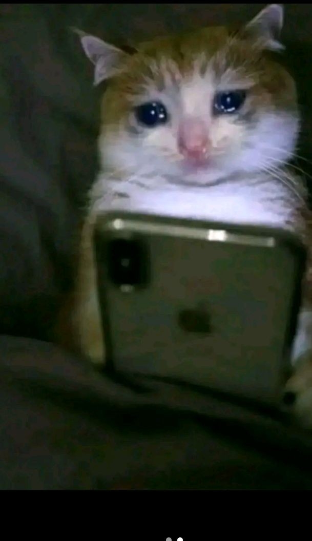 自分が死んだら悲しんでくれる人はいると思いますか？