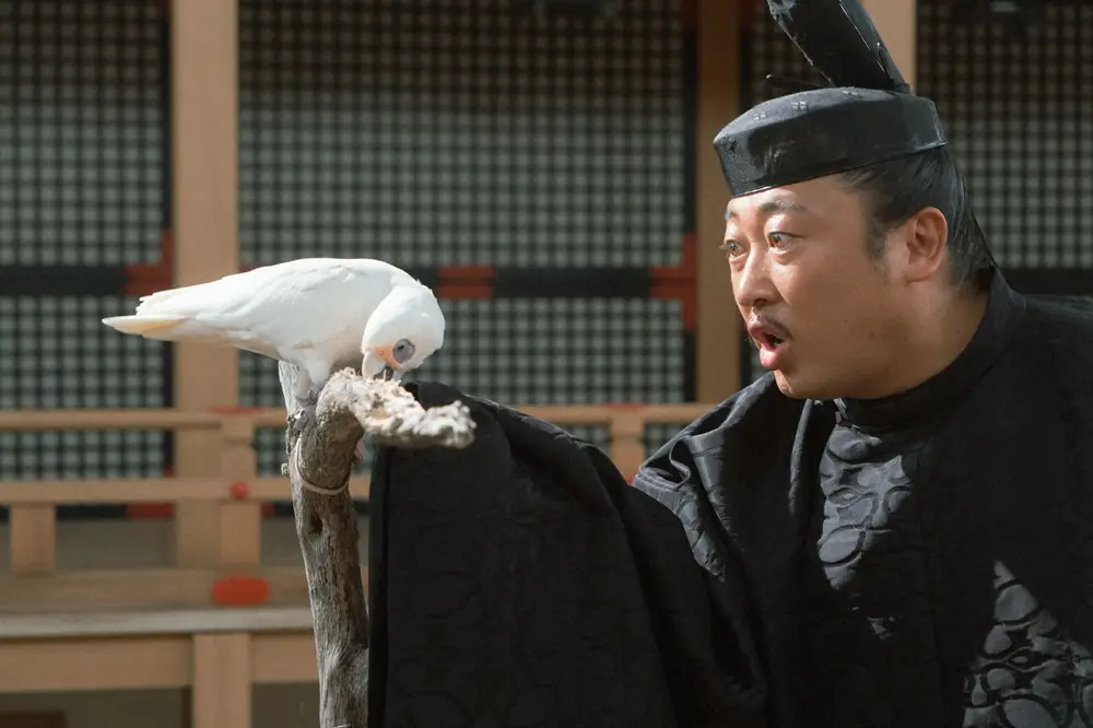 【実況・感想】豊臣兄弟！第11話『本圀寺（ほんこくじ）の変』