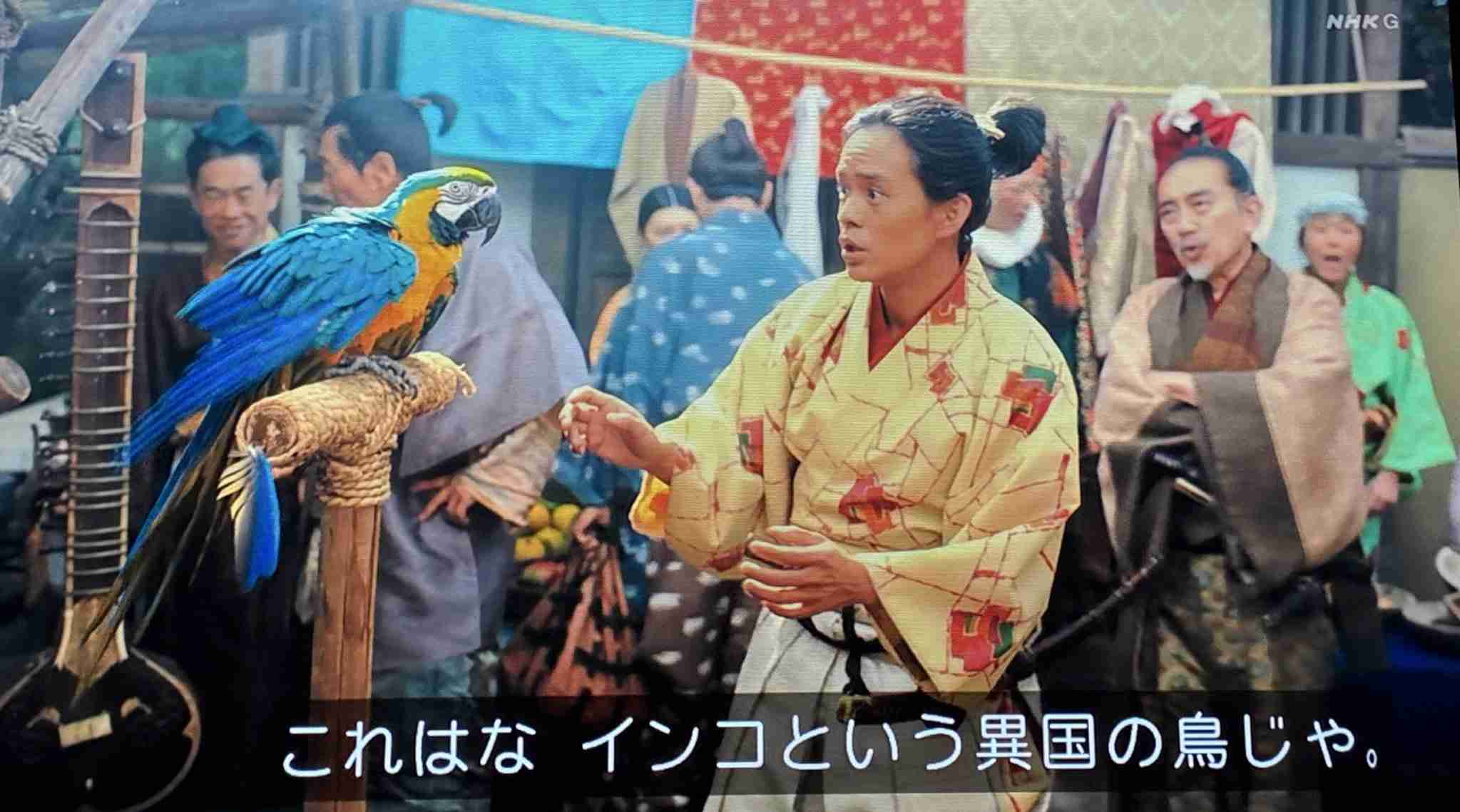 【実況・感想】豊臣兄弟！第11話『本圀寺（ほんこくじ）の変』