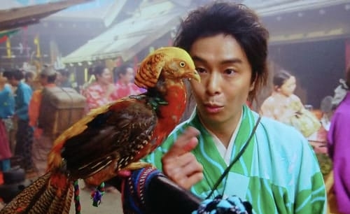 【実況・感想】豊臣兄弟！第11話『本圀寺（ほんこくじ）の変』