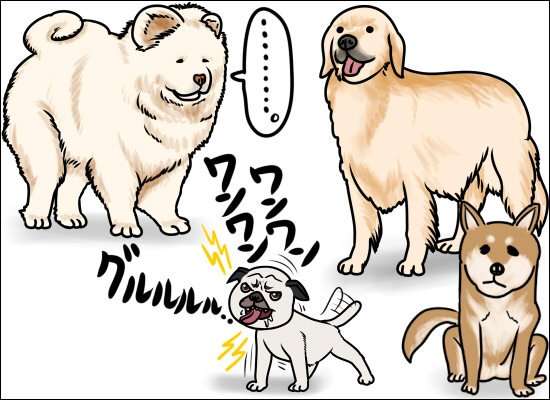 男性が女性に求める令和の結婚の条件「身長160cm以上」「年収600万円」「共働き」…“もはや就活と同じ感覚”婚活カウンセラーが語る婚活市場の激変