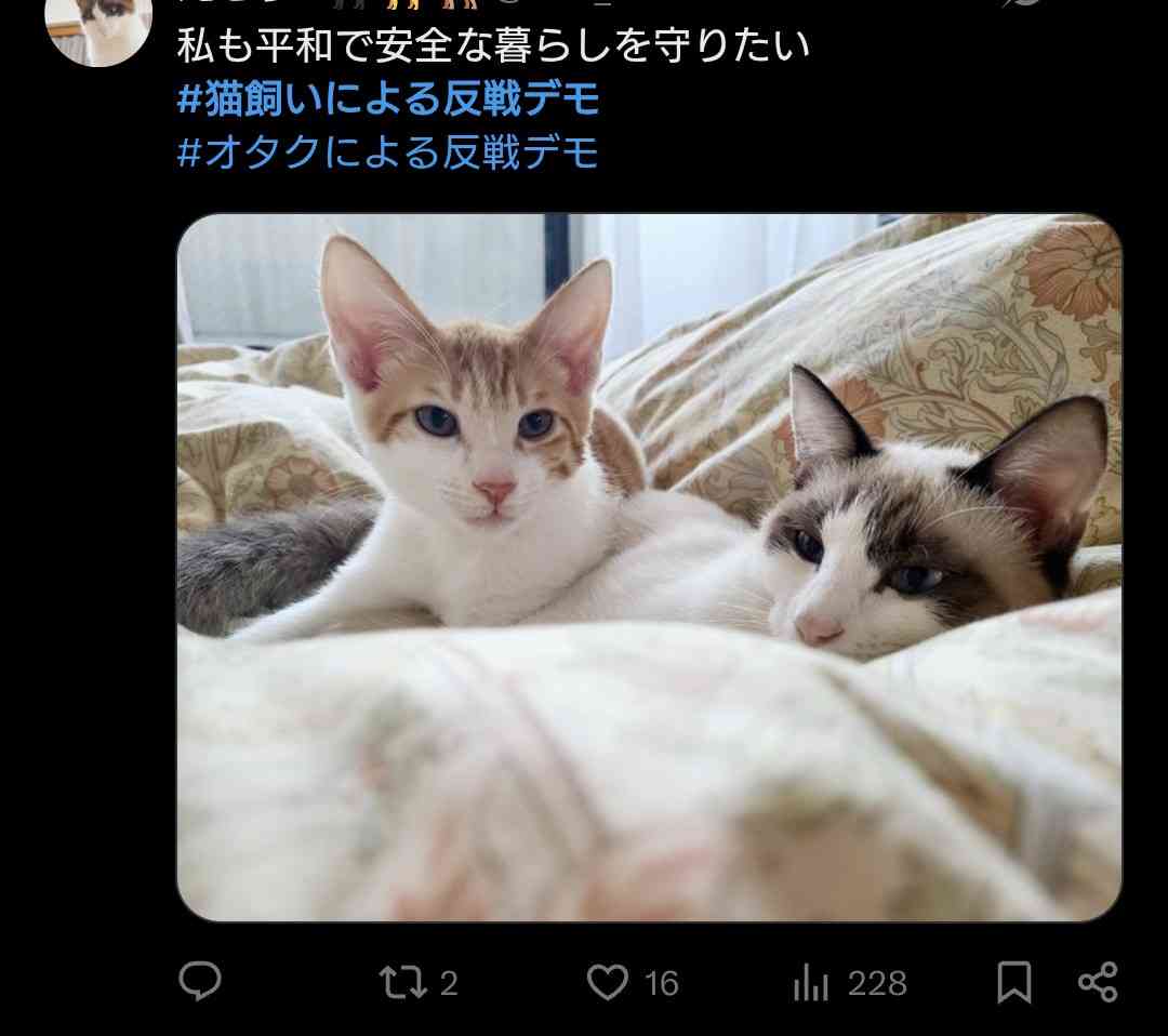 海保、ヘリ基地反対協の関係先を家宅捜索 業務上過失致死傷などの疑い 辺野古沖転覆