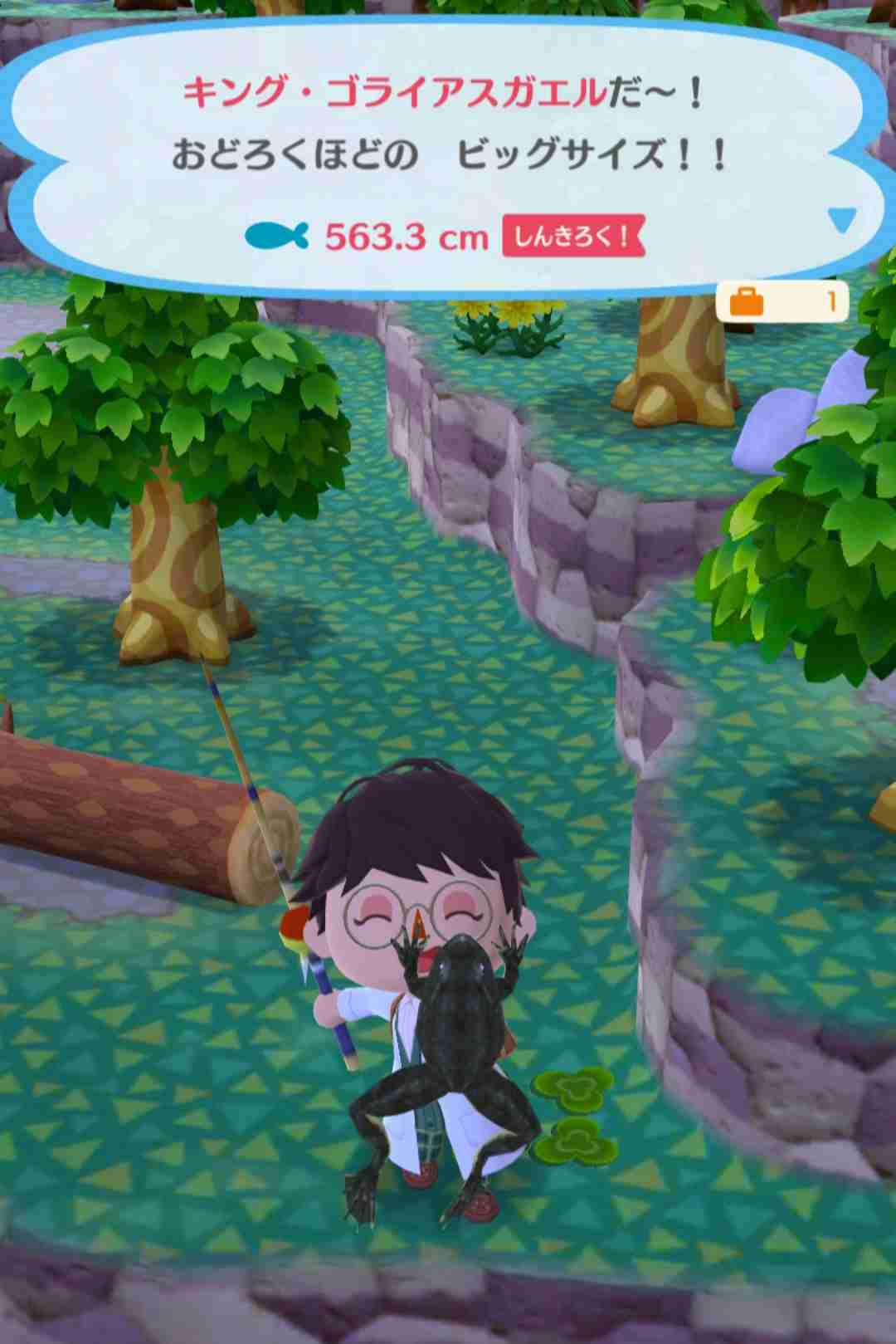 【ポケ森】どうぶつの森 ポケットキャンプ コンプリート【part99】