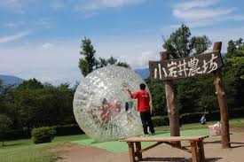 岩手のオススメ