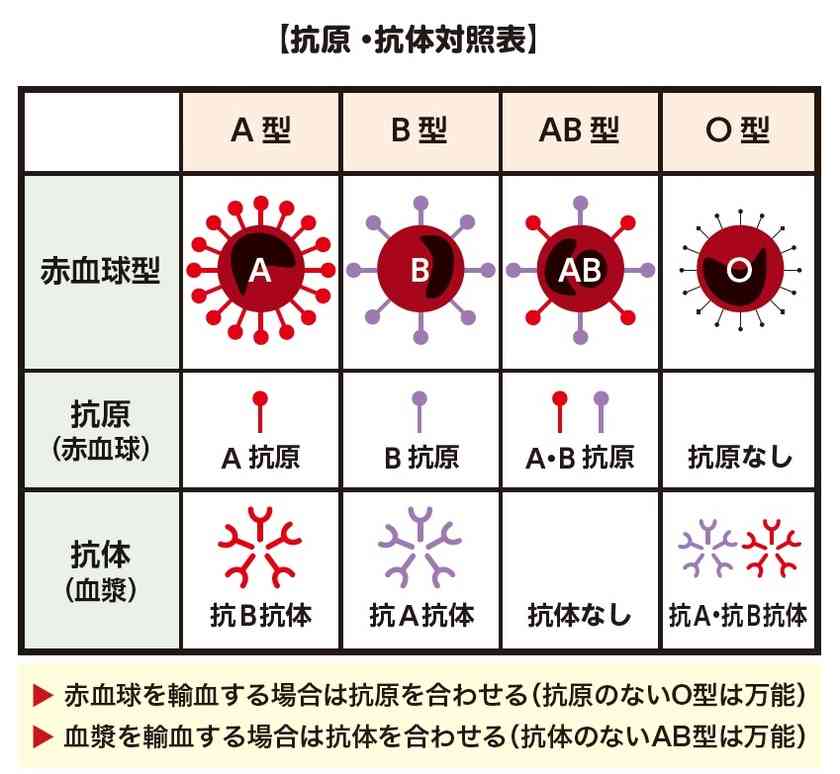 血液型占いって実際当たってると思う？