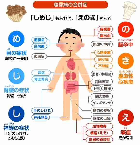 【我こそは】デブ選手権