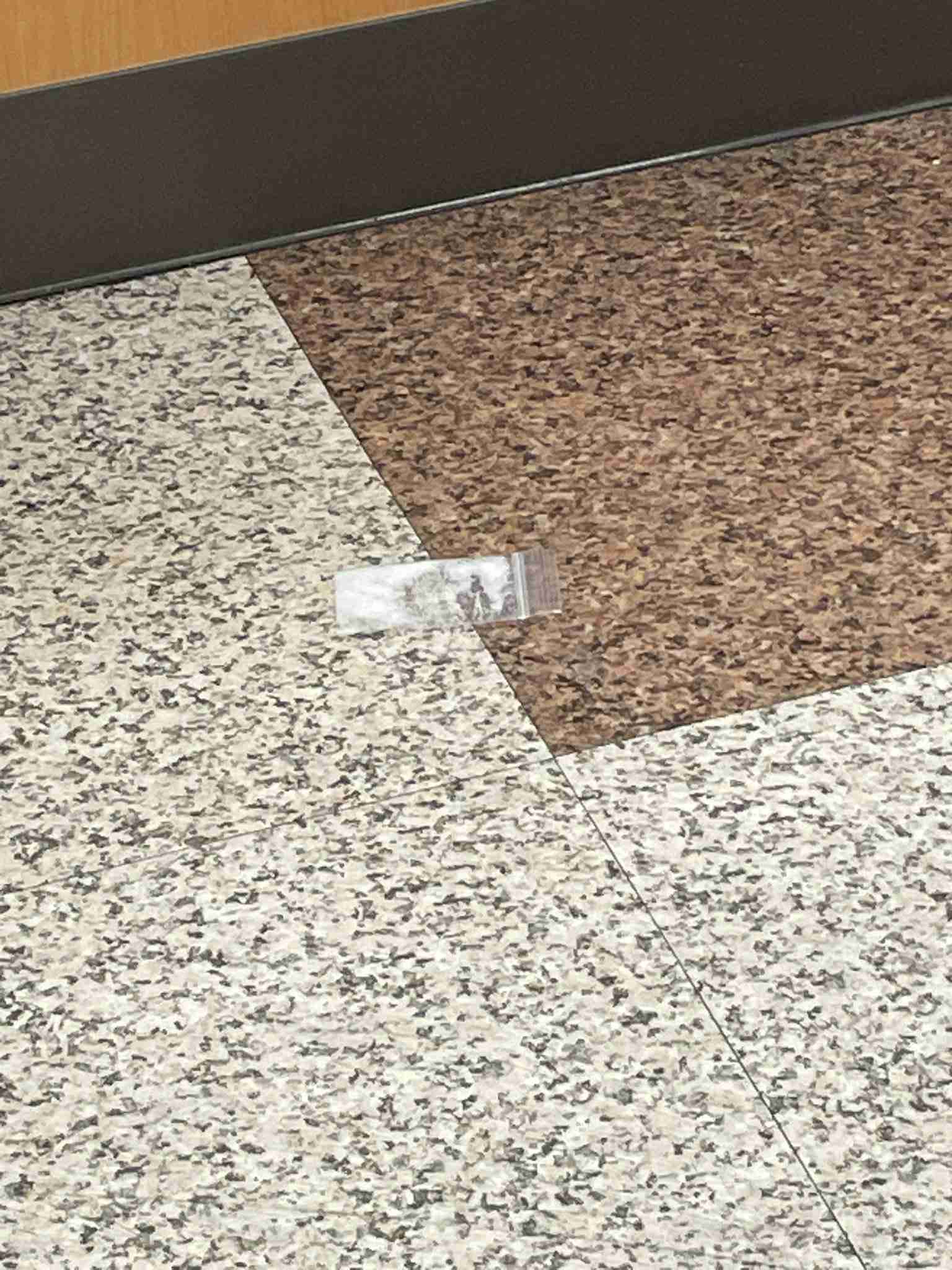 道に落ちていて驚いたもの