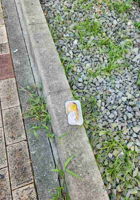 道に落ちていて驚いたもの