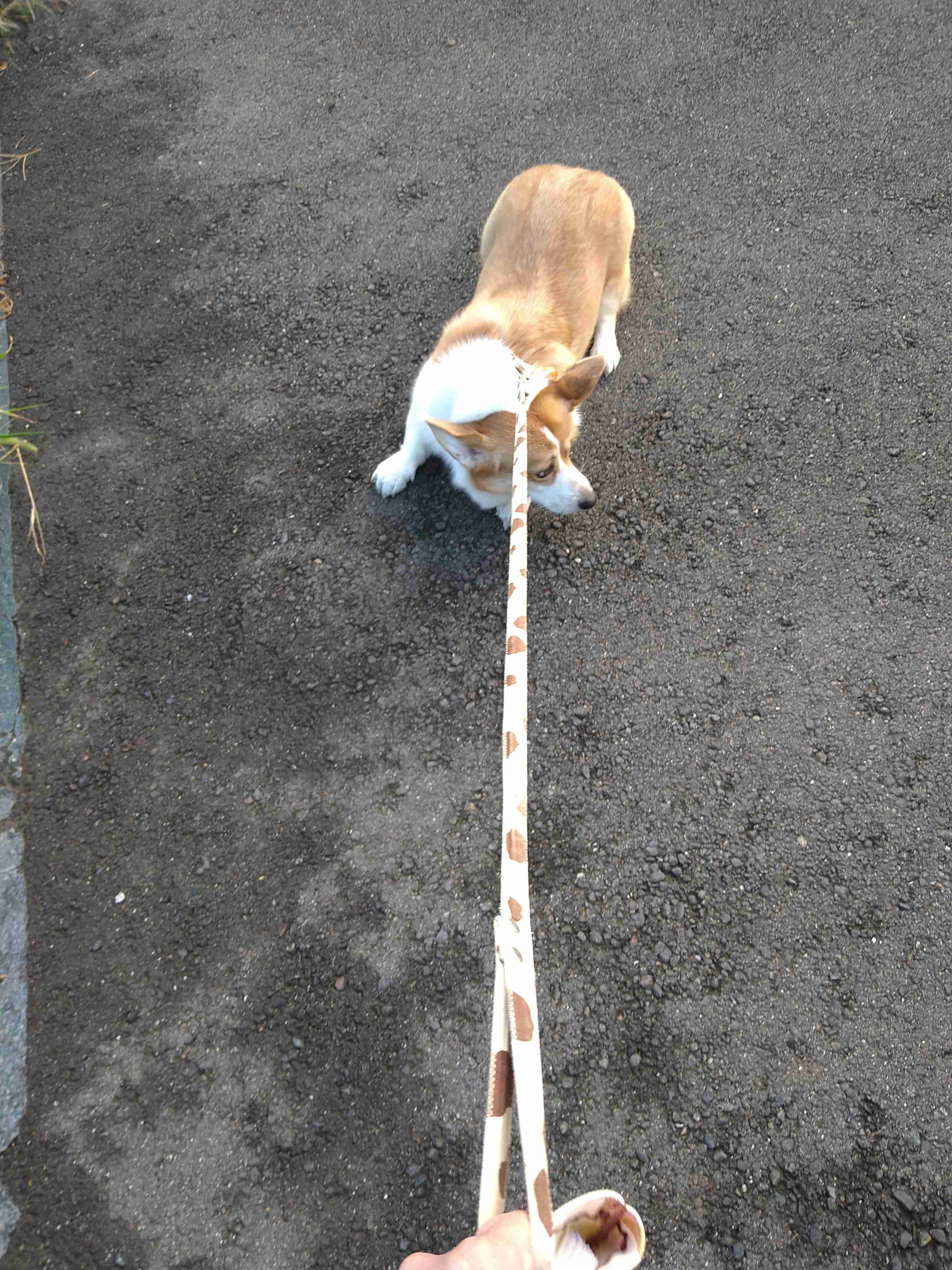 帰りたくない家とは？