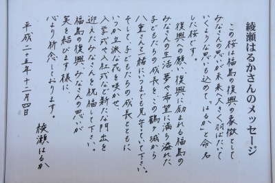 【祝誕生日】綾瀬はるかを語りたい