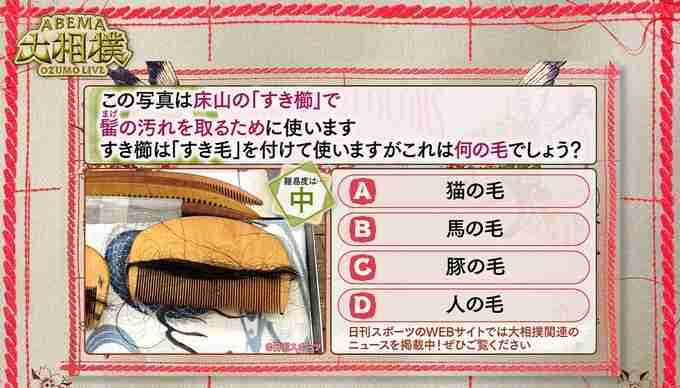 【実況・感想】大相撲3月場所を応援するトピ