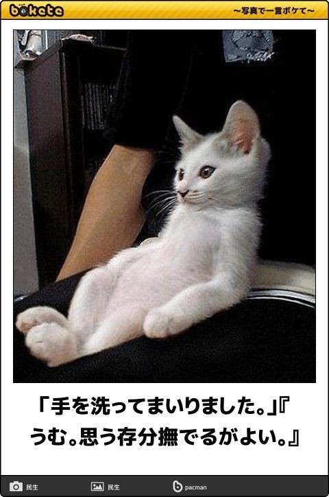 今思ってることを書くと、誰かが的外れな回答をしてくれるトピpart8