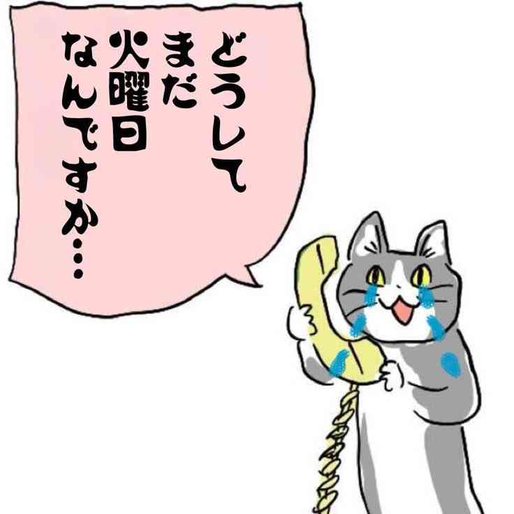✨金曜日✨が好きな人Part5