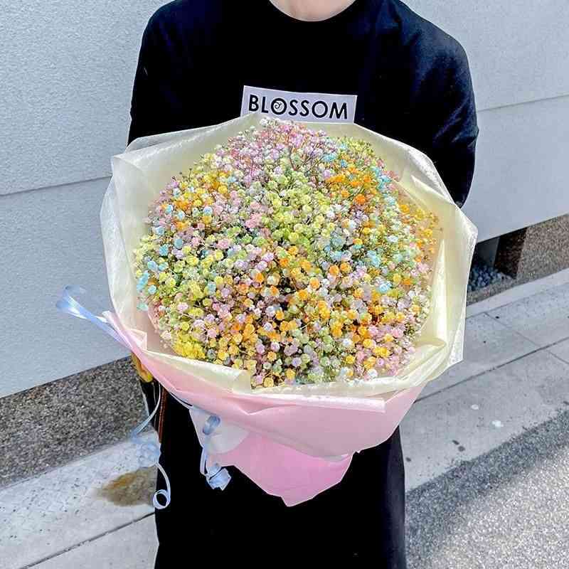 『あさイチ』園芸コーナーが物議、チューリップを人工的に“染める”講座に疑問噴出「植物への愛情ゼロだろ」