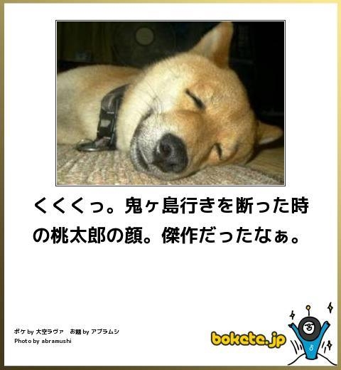 笑える動物たちが見たい！part２