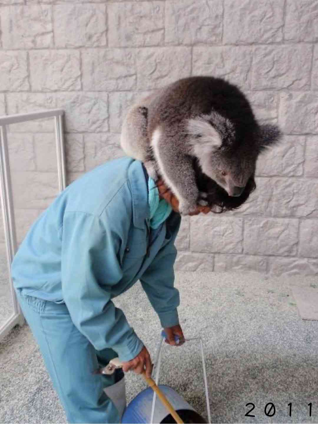 笑える動物たちが見たい！part２