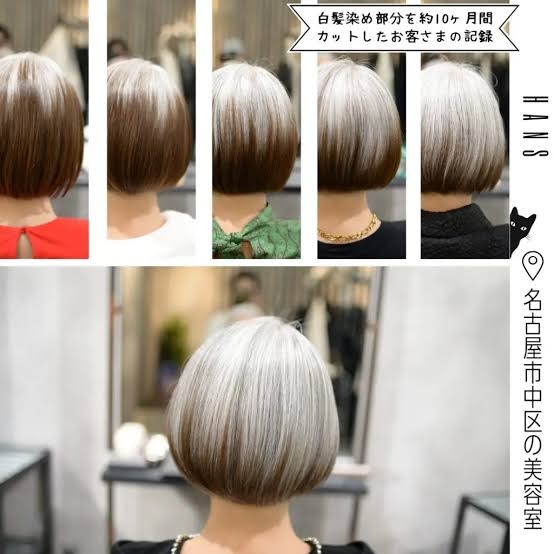 グレイヘア移行中の人part2