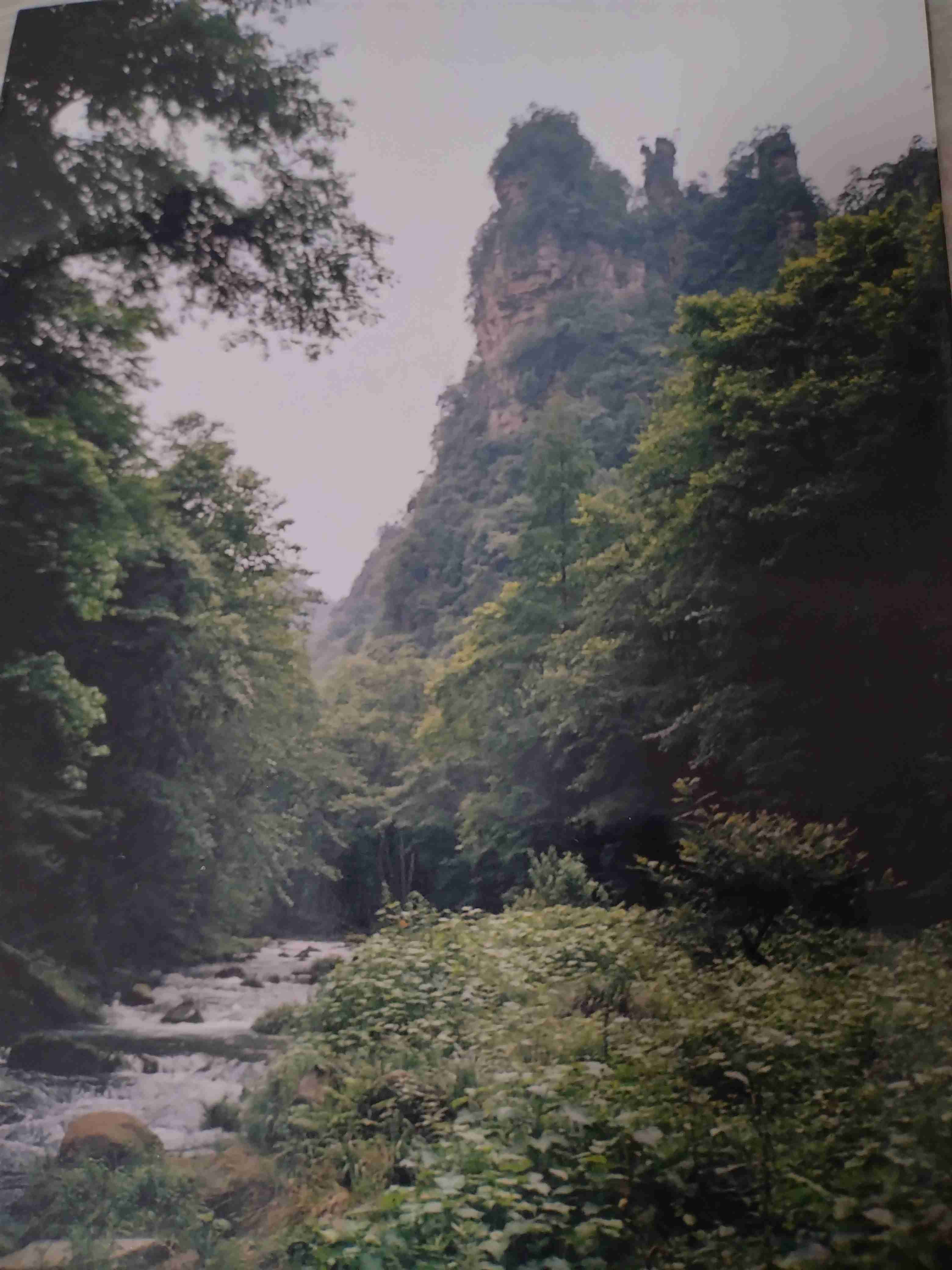 行ってみたいコアな場所