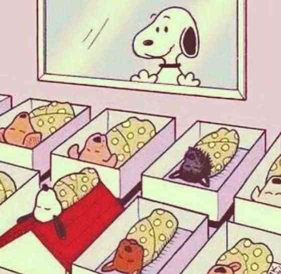 見たら「あっ！」と言うかもしれないトピ